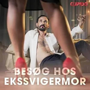 Besøg Hos Ekssvigermor Gratis Lydbog