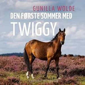 Den Første Sommer Med Twiggog Gratis Lydbog