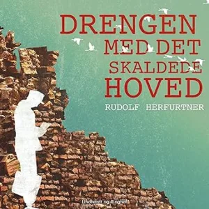 Drengen Med Det Skaldede Hoved Gratis Lydbog